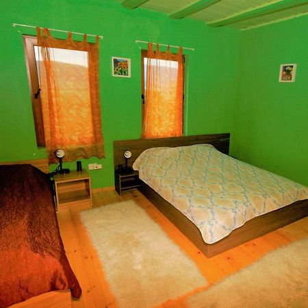 Chuchi Guest House 1 Zlatna Panega Kültér fotó