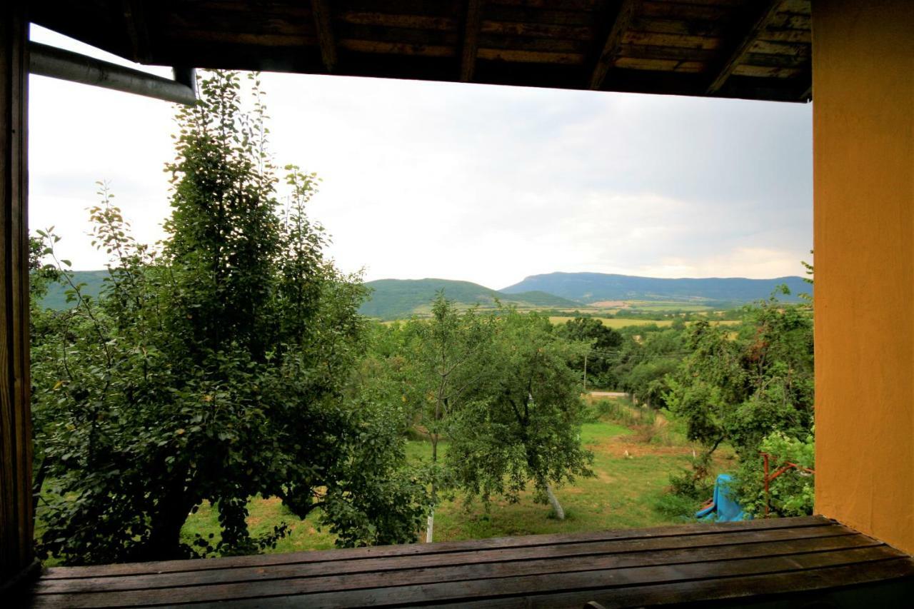 Chuchi Guest House 1 Zlatna Panega Kültér fotó