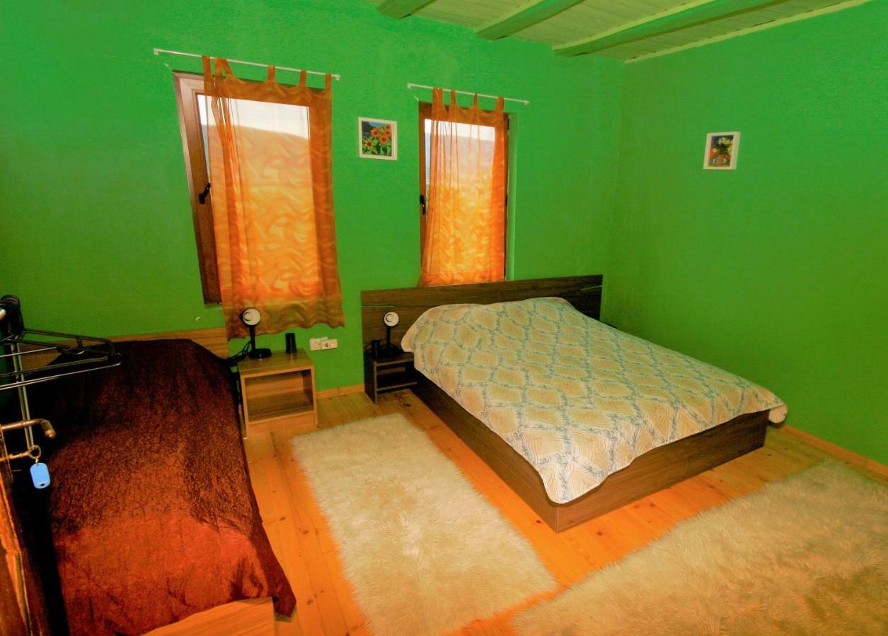 Chuchi Guest House 1 Zlatna Panega Kültér fotó