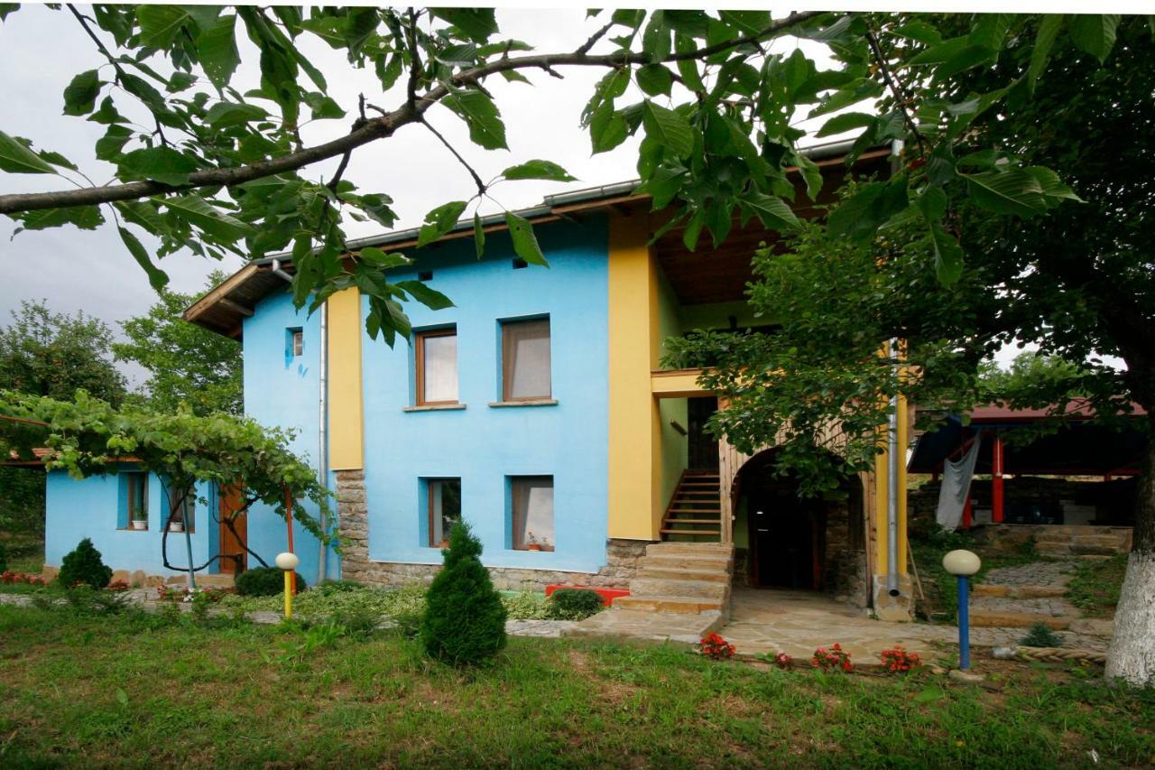 Chuchi Guest House 1 Zlatna Panega Kültér fotó
