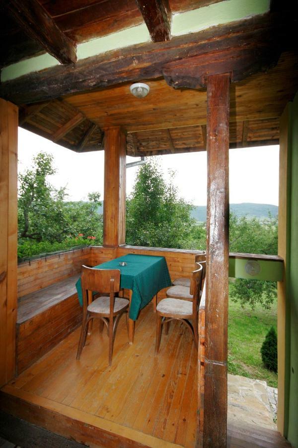 Chuchi Guest House 1 Zlatna Panega Kültér fotó