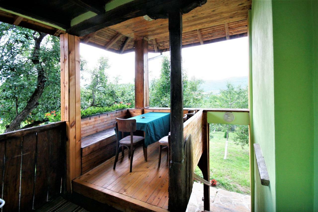 Chuchi Guest House 1 Zlatna Panega Kültér fotó