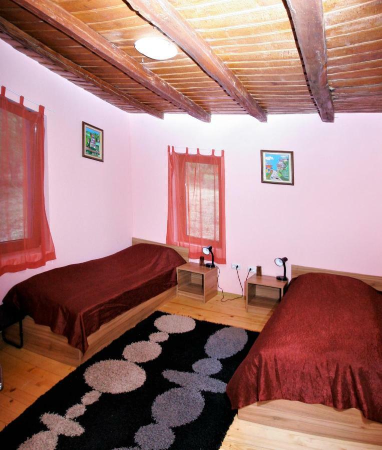 Chuchi Guest House 1 Zlatna Panega Kültér fotó